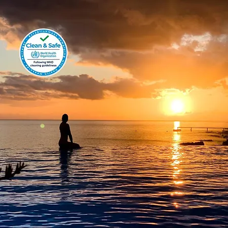 Infinity Pool & Amazing Sunset Ocean View Apartment Funchal (Madeira)